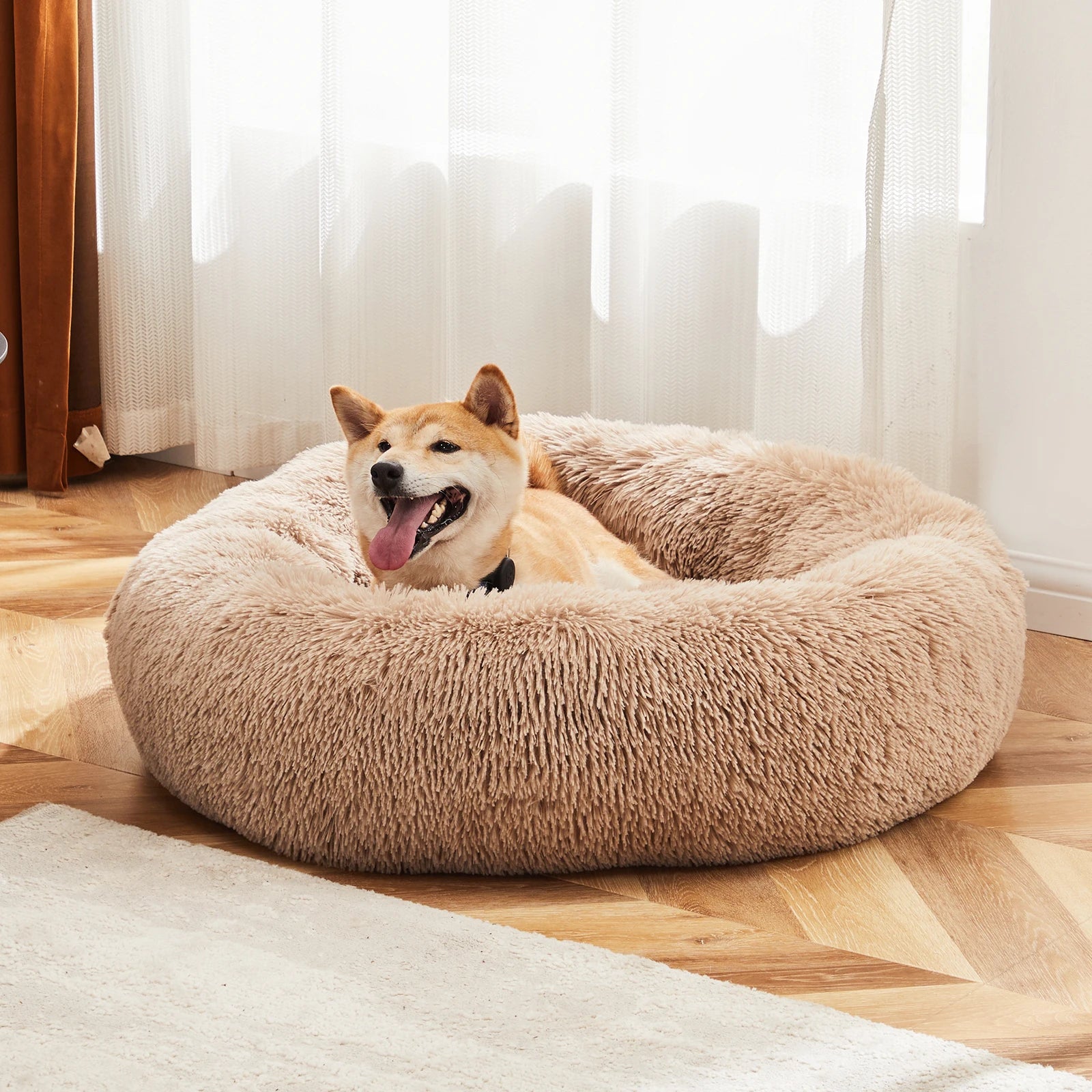 Cozy Furry Home