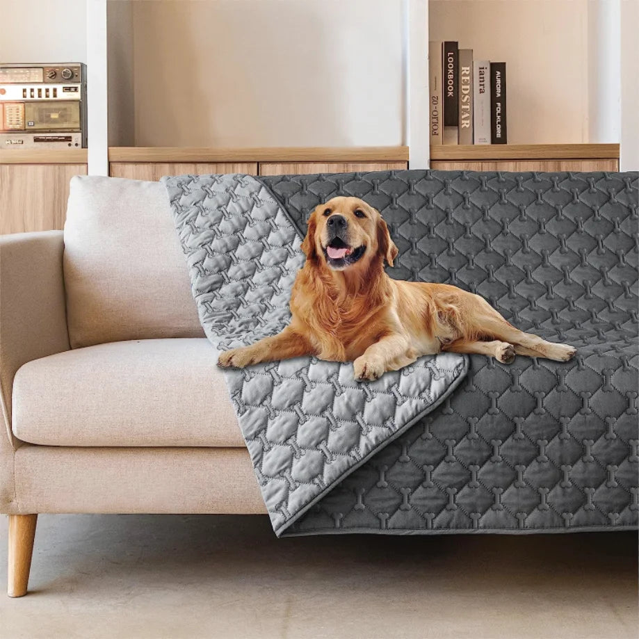 Cozy Furry Home
