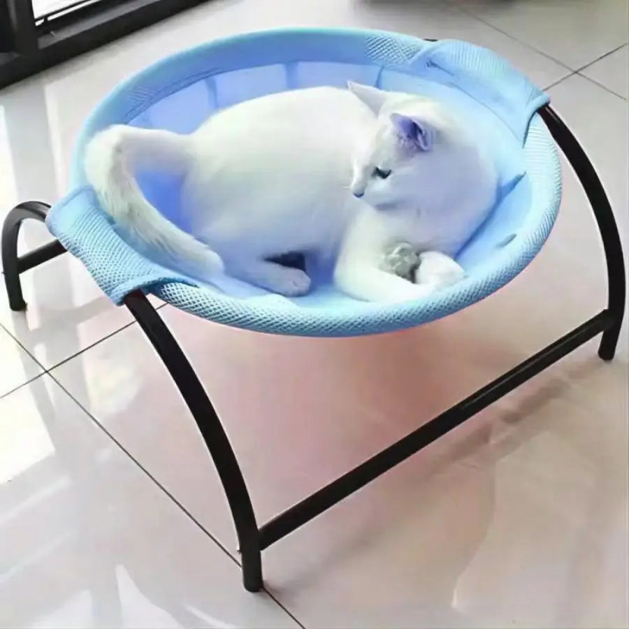 Cozy Furry Home